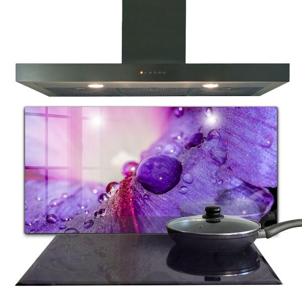 Kitchen splashback Purple flower with morning dew