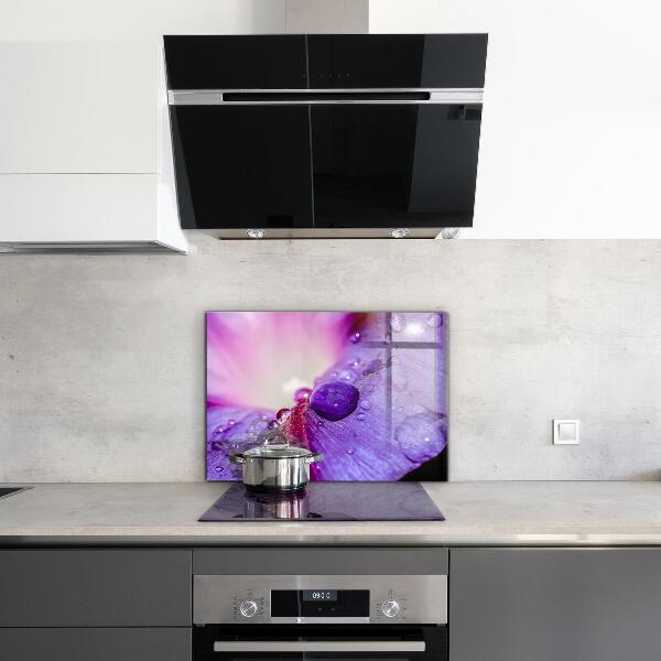 Kitchen splashback Purple flower with morning dew
