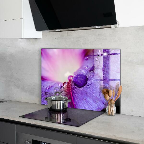 Kitchen splashback Purple flower with morning dew