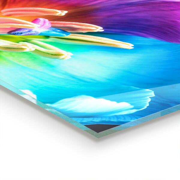 Kitchen splashback Colorful rainbow flower