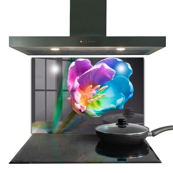 Kitchen splashback Colorful rainbow flower