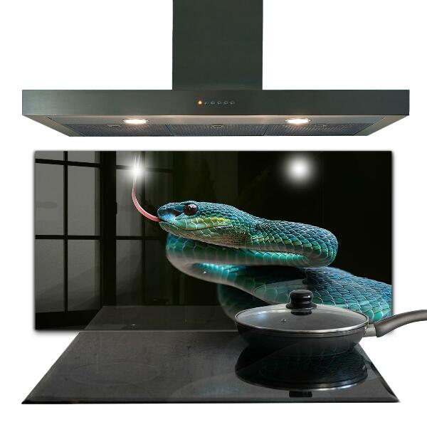 Kitchen splashback Snake wildlife