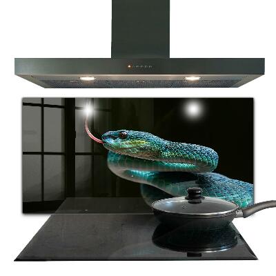 Kitchen splashback Snake wildlife
