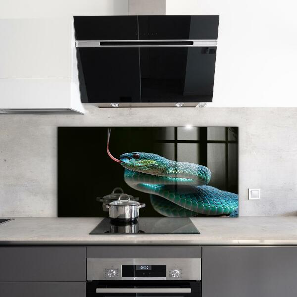 Kitchen splashback Snake wildlife