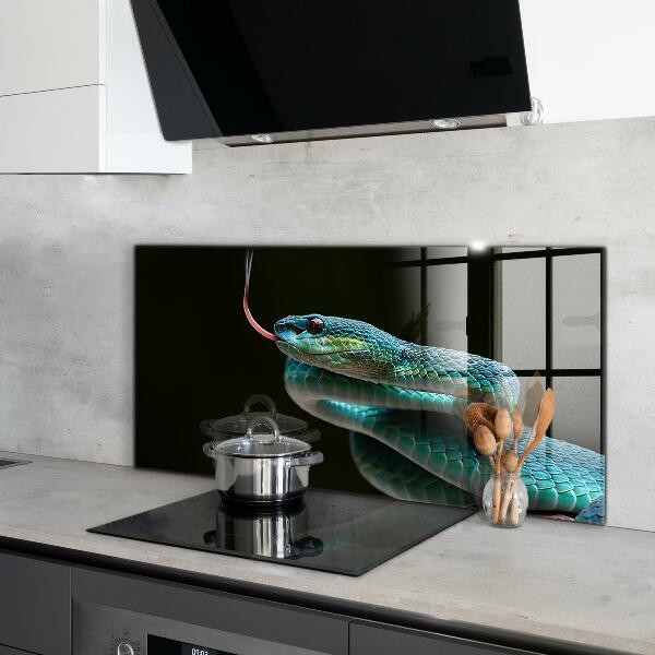 Kitchen splashback Snake wildlife