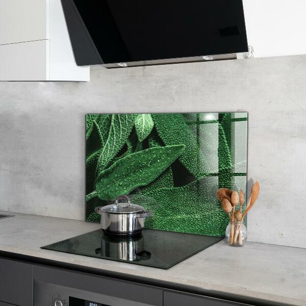 Kitchen splashback Green leaves after rain