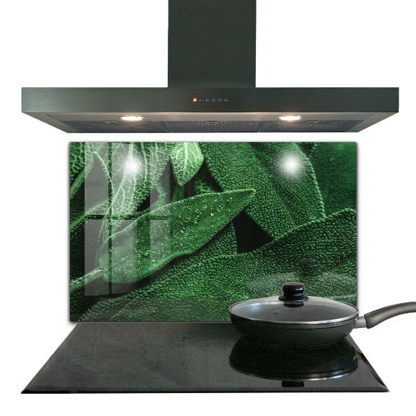 Kitchen splashback Green leaves after rain