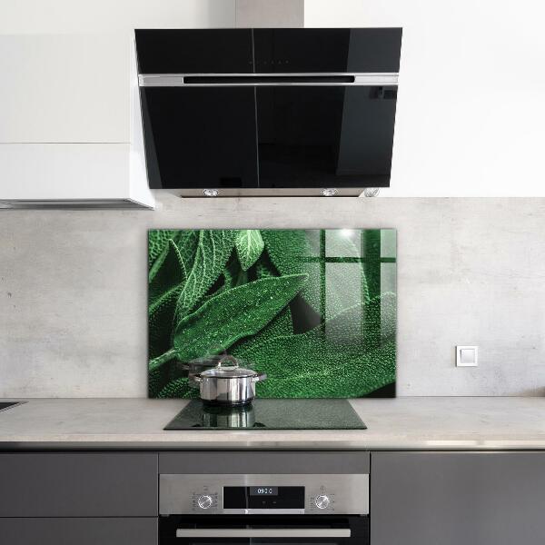 Kitchen splashback Green leaves after rain