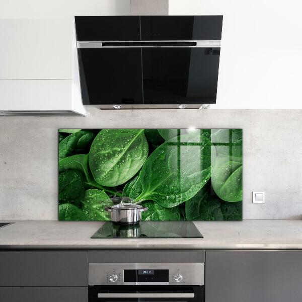 Kitchen splashback Spinach leaves health
