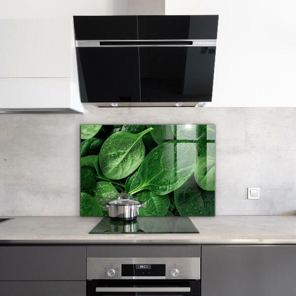 Kitchen splashback Spinach leaves health
