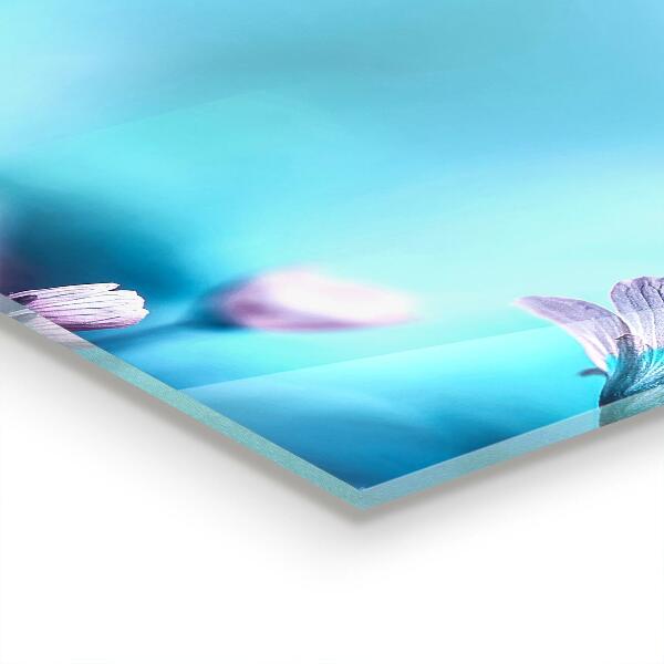 Kitchen splashback Flowers behind the morning fog