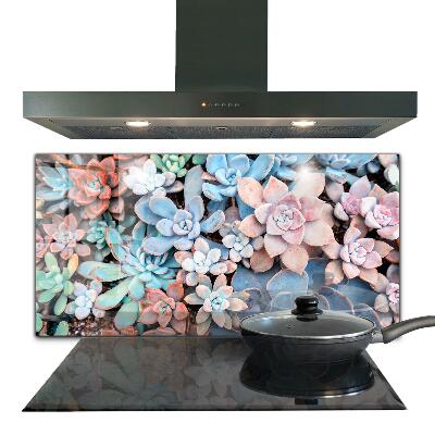 Kitchen splashback Colorful succulents