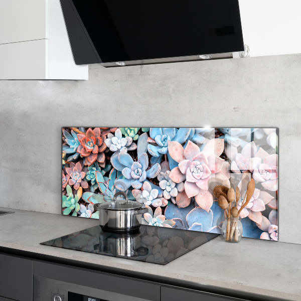 Kitchen splashback Colorful succulents