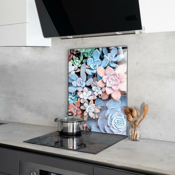 Kitchen splashback Colorful succulents