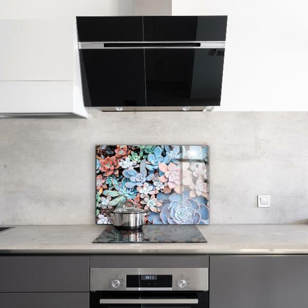 Kitchen splashback Colorful succulents