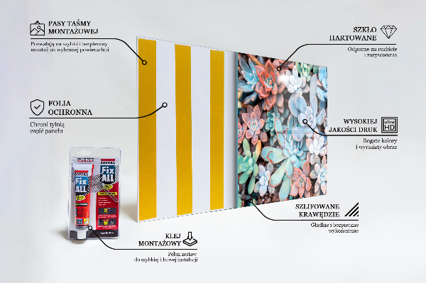 Kitchen splashback Colorful succulents