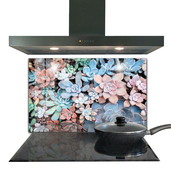 Kitchen splashback Colorful succulents
