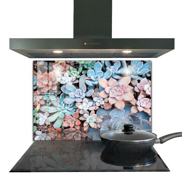 Kitchen splashback Colorful succulents