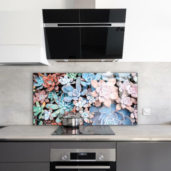 Kitchen splashback Colorful succulents