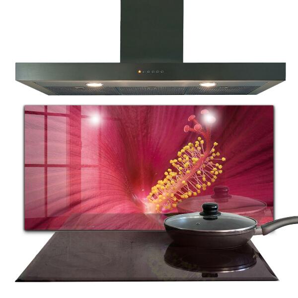 Kitchen splashback Pink hibiscus