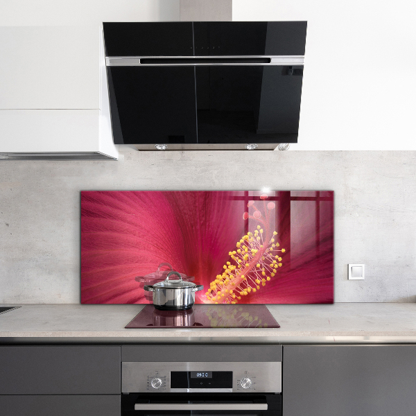 Kitchen splashback Pink hibiscus