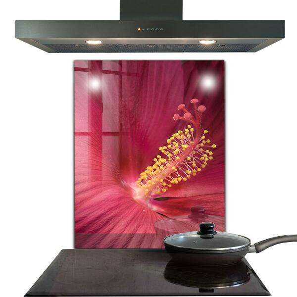 Kitchen splashback Pink hibiscus