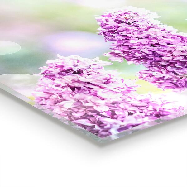 Kitchen splashback Blooming lilac summer in the garden