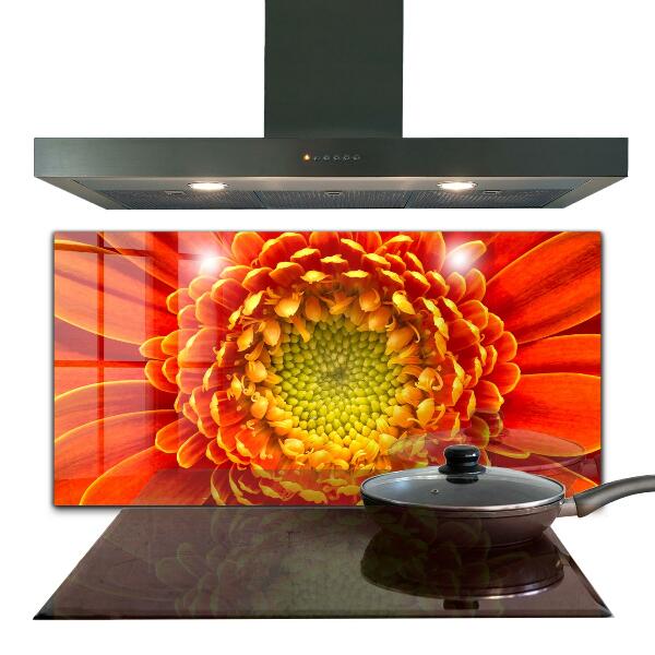 Kitchen splashback Orange gerbera flower