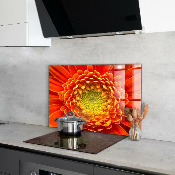 Kitchen splashback Orange gerbera flower