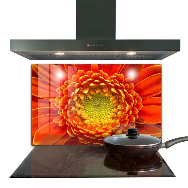 Kitchen splashback Orange gerbera flower