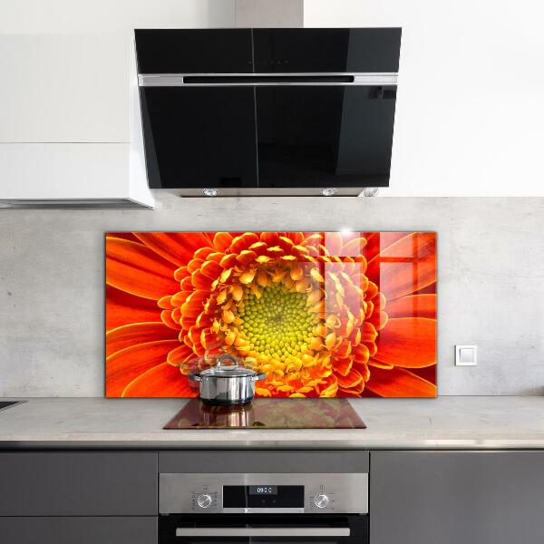 Kitchen splashback Orange gerbera flower