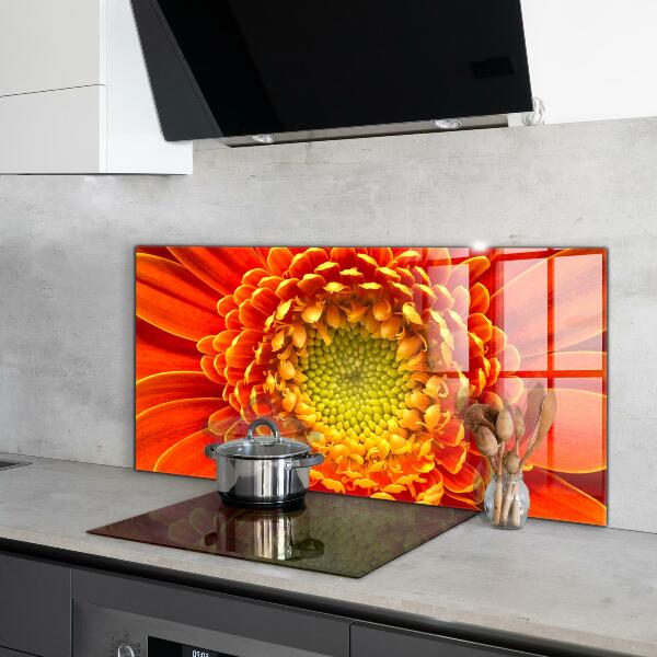 Kitchen splashback Orange gerbera flower