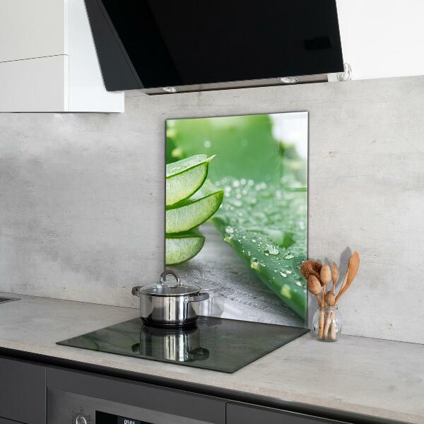 Kitchen splashback Aloe aloe vera plant