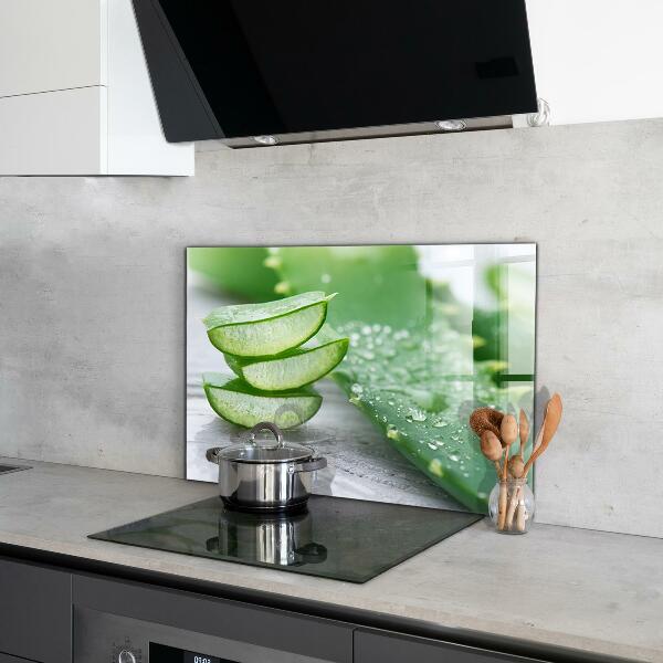 Kitchen splashback Aloe aloe vera plant