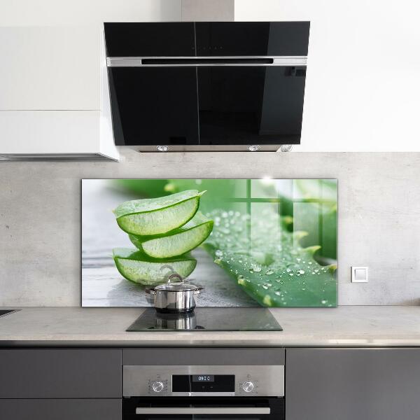 Kitchen splashback Aloe aloe vera plant