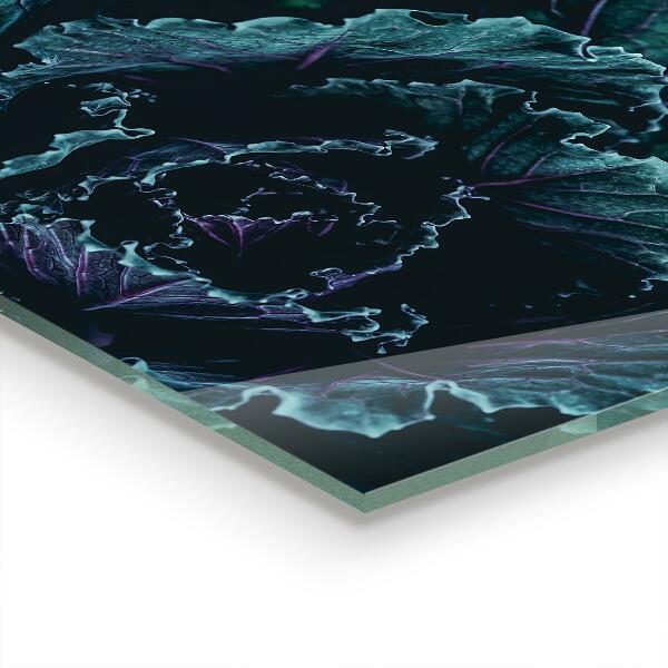 Kitchen splashback Cabbage leaves dark green