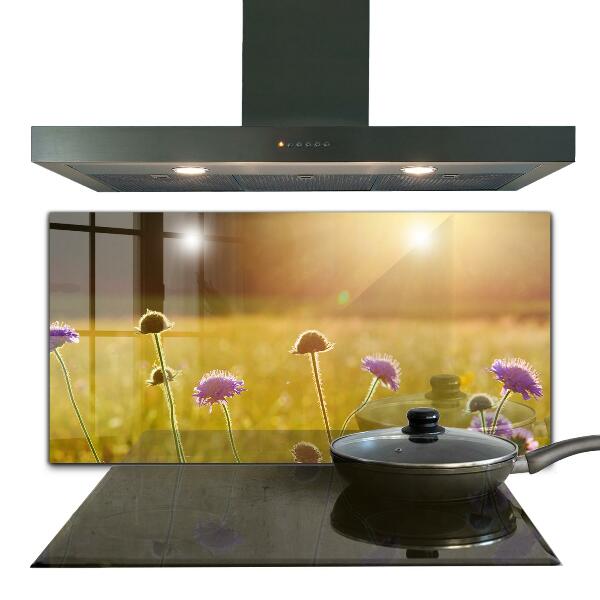 Kitchen splashback Summer flowering meadow