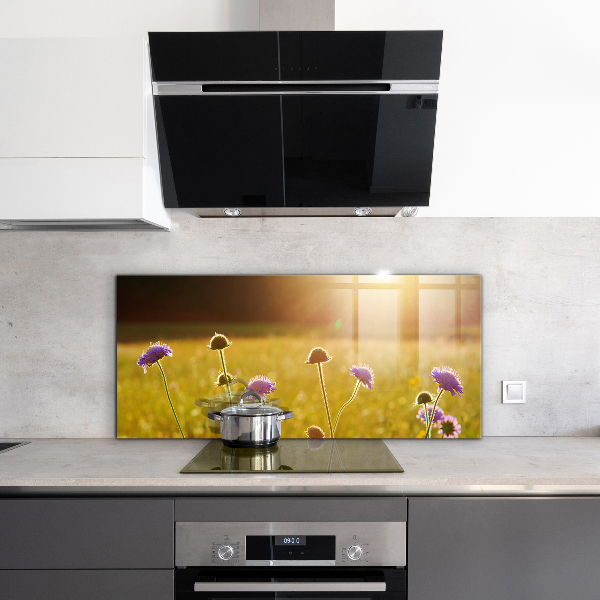 Kitchen splashback Summer flowering meadow