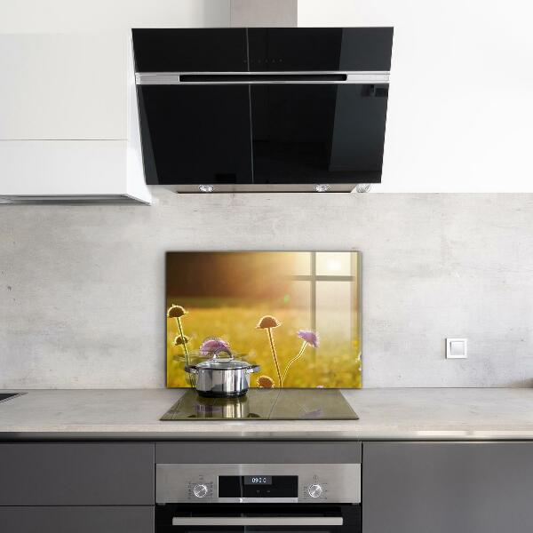 Kitchen splashback Summer flowering meadow