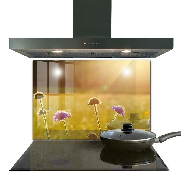 Kitchen splashback Summer flowering meadow