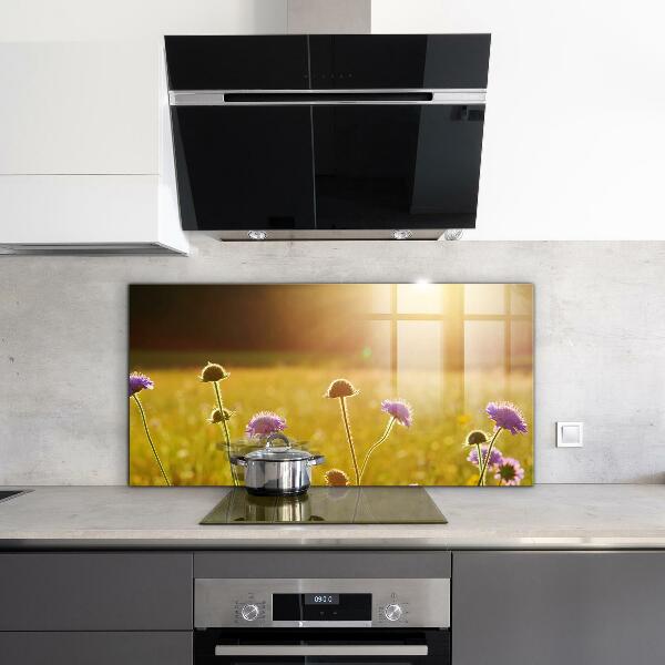 Kitchen splashback Summer flowering meadow