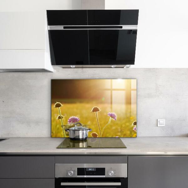 Kitchen splashback Summer flowering meadow