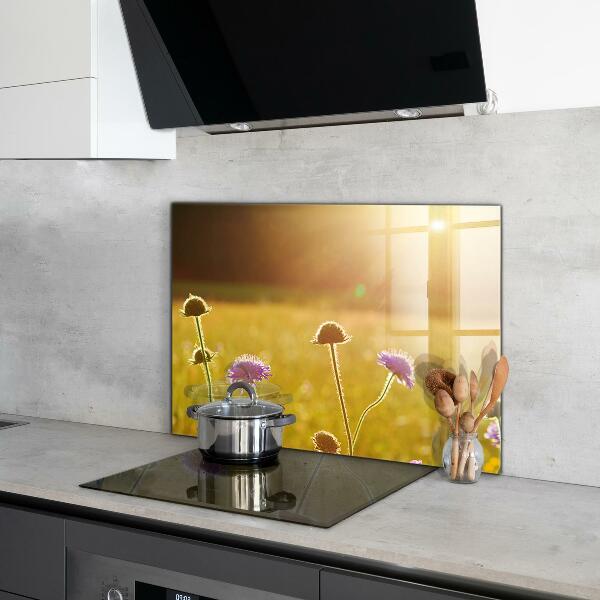 Kitchen splashback Summer flowering meadow