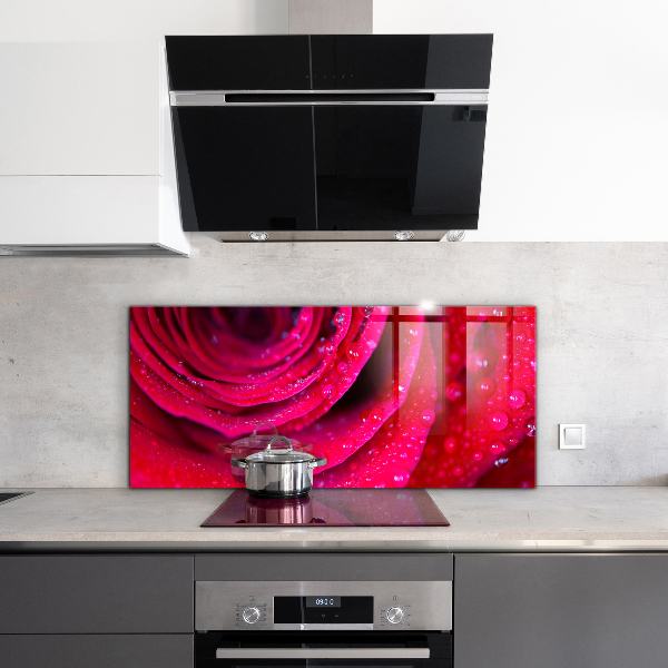 Kitchen splashback Rose symbol of love