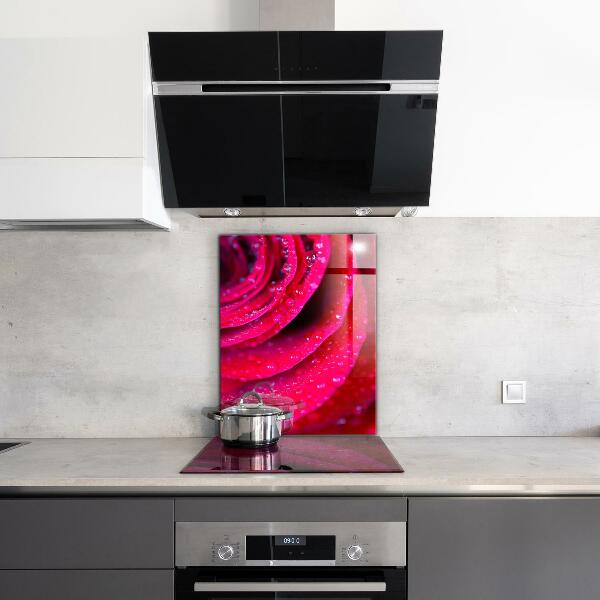 Kitchen splashback Rose symbol of love