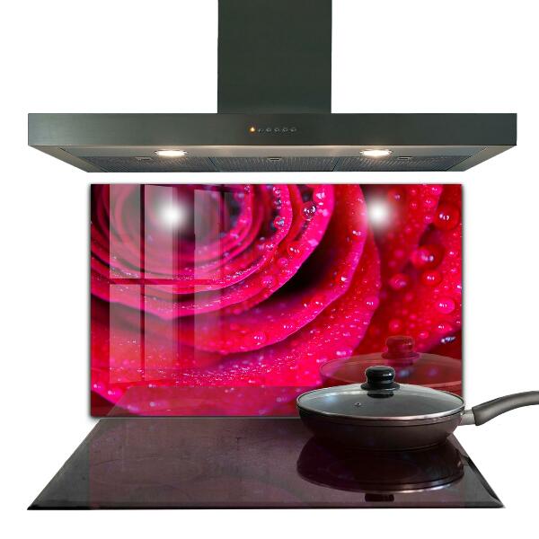 Kitchen splashback Rose symbol of love