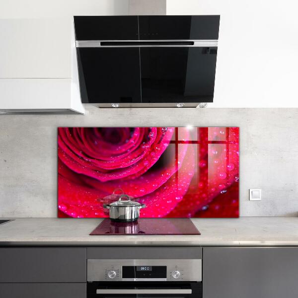 Kitchen splashback Rose symbol of love