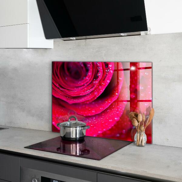 Kitchen splashback Rose symbol of love