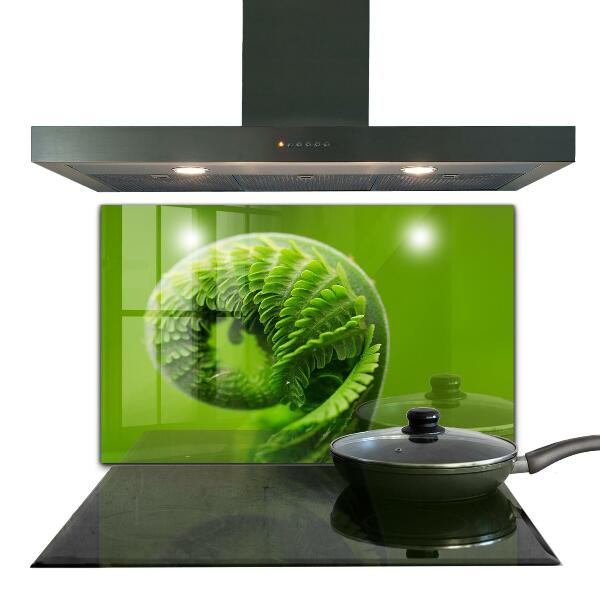 Kitchen splashback Green fern leaf