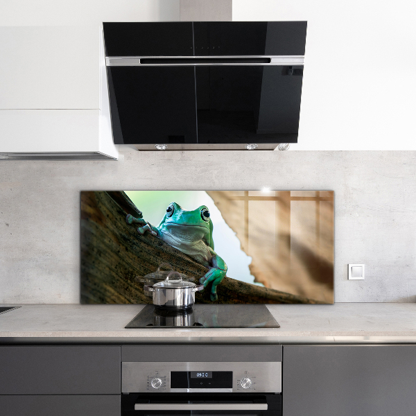 Kitchen splashback Curious frog on a leaf